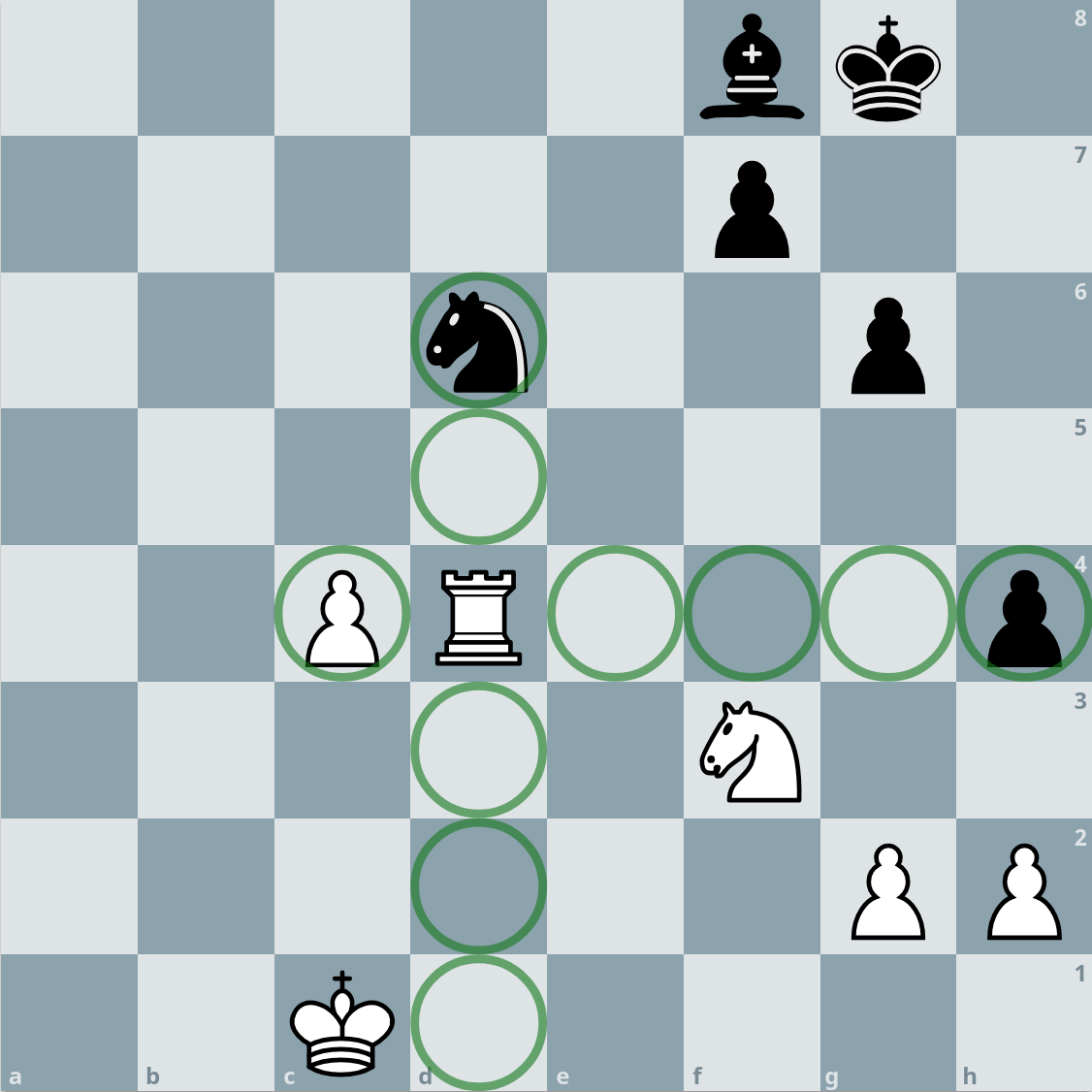 rook's possible moves